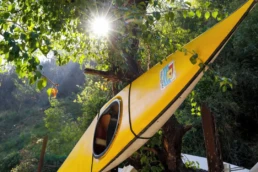 canoa appesa ad un albero con dei raggi di sole che passano tre le foglie